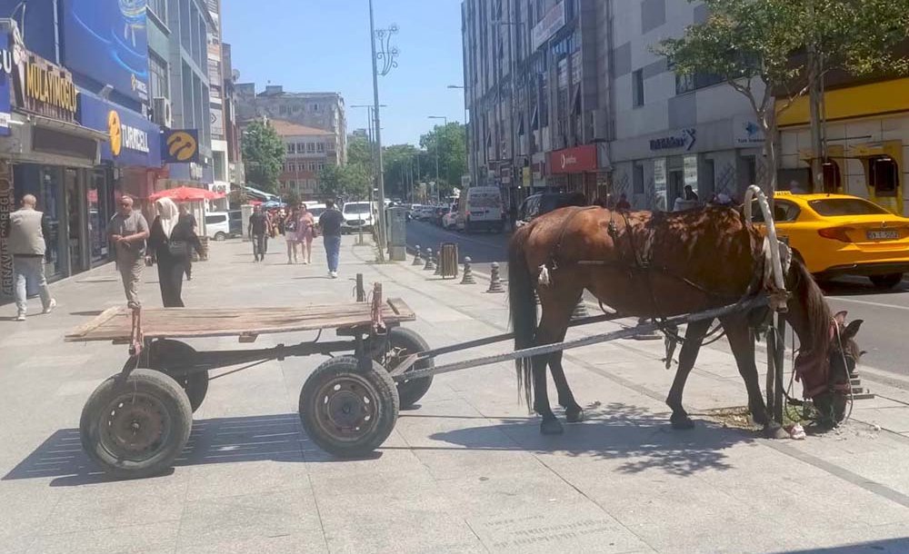 Vatandaşı Şaşkına Çeviren Görüntü 