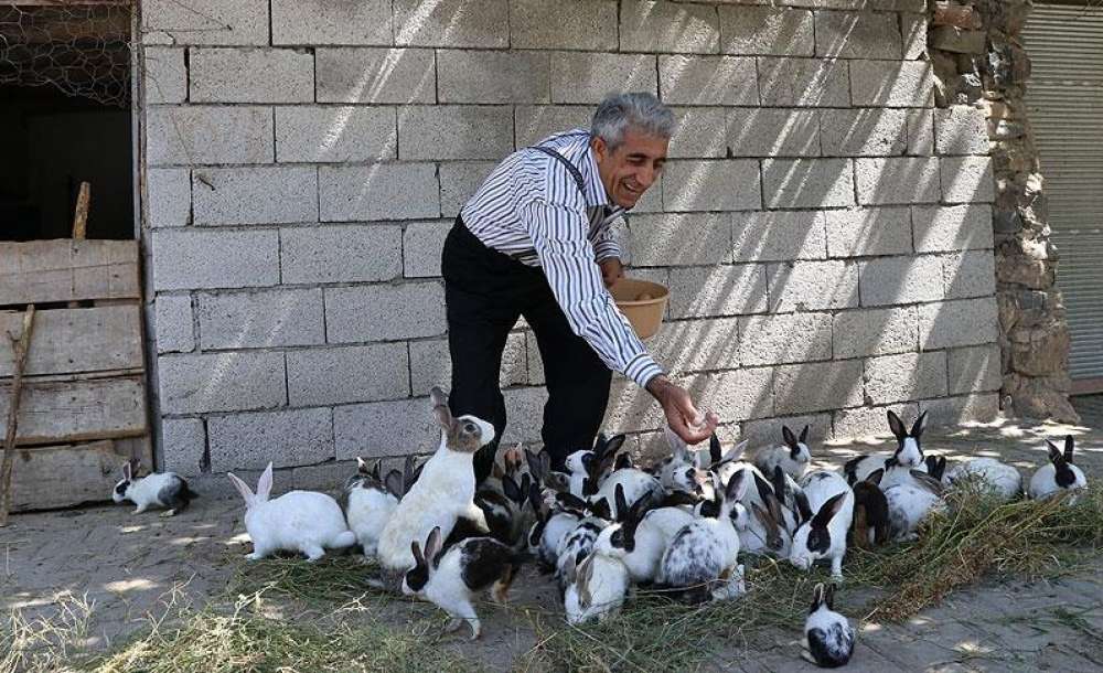 Tavşan Yetiştirme Hobisi Ekmek Kapısı Oldu